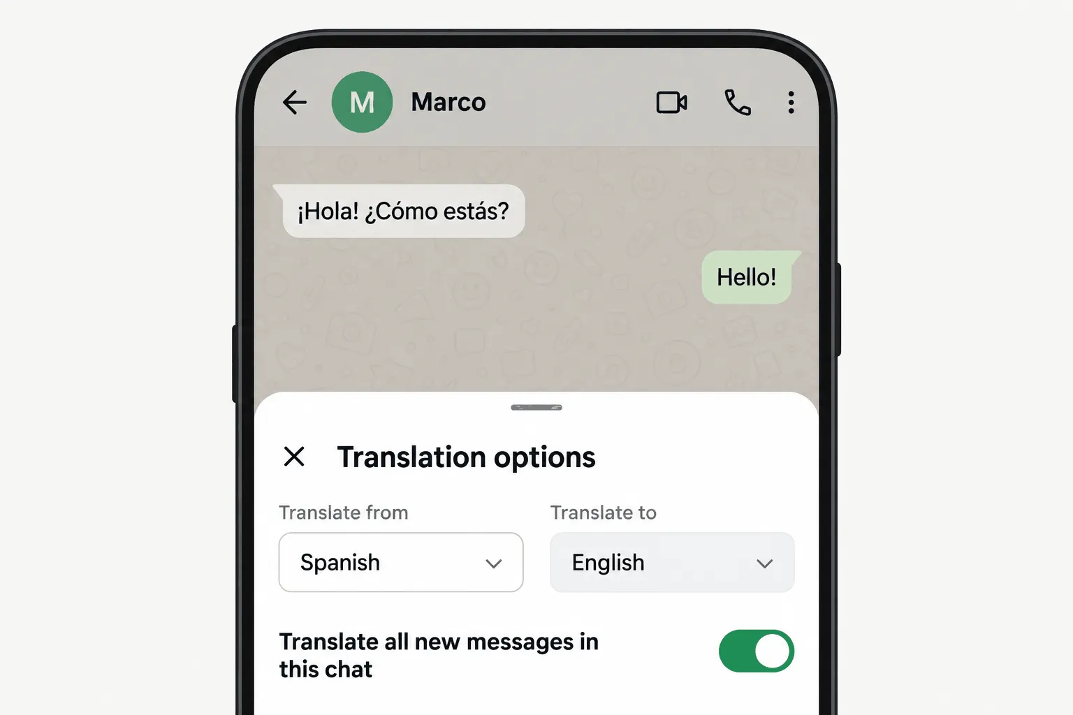 how to turn on auto translate on WhatsApp